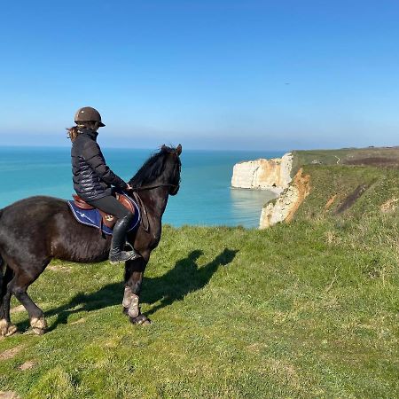 Domaine Equestre Etretat Bed & Breakfast Le Tilleul Luaran gambar