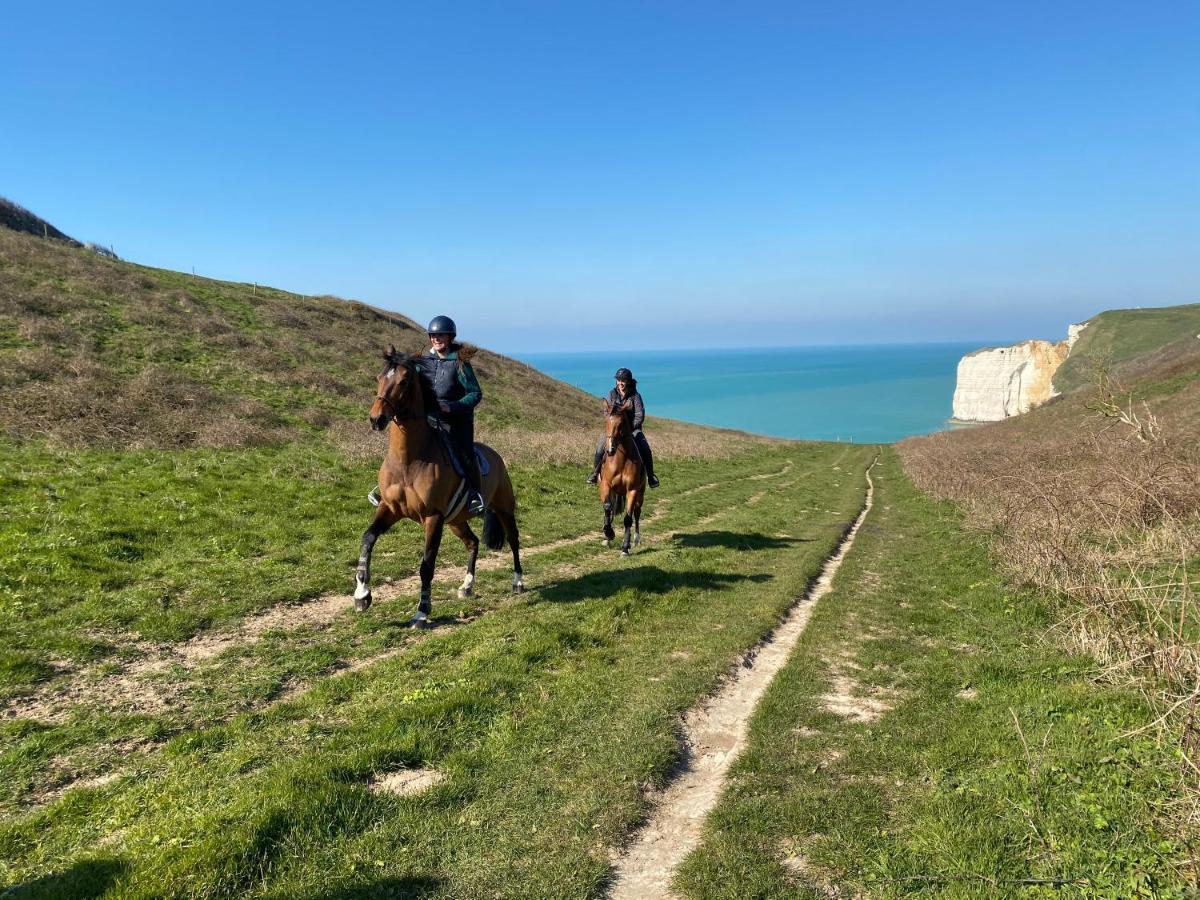 Domaine Equestre Etretat Bed & Breakfast Le Tilleul Luaran gambar
