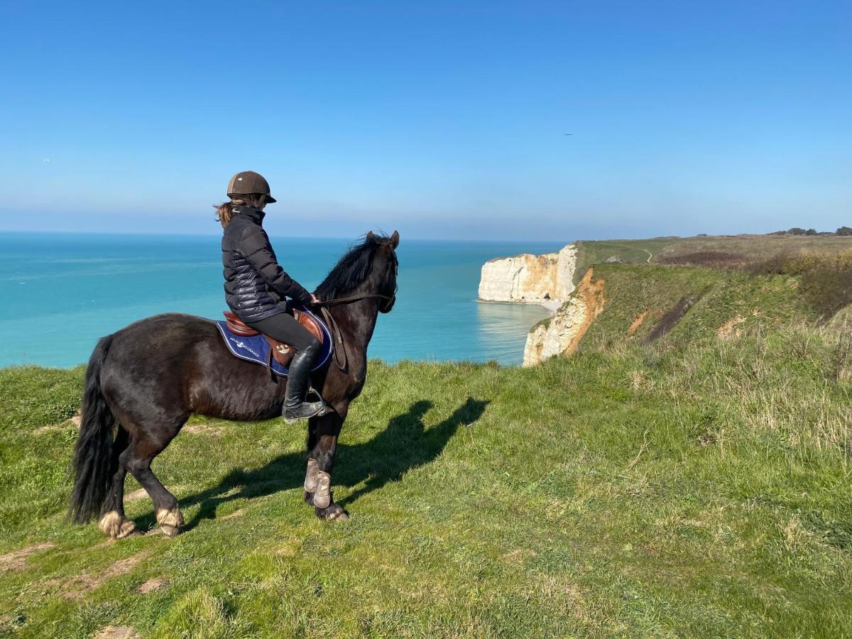 Domaine Equestre Etretat Bed & Breakfast Le Tilleul Luaran gambar